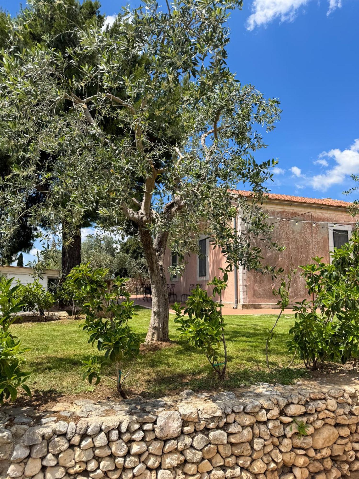 Signor Cesare Agrobistrot B&B San Giovanni Rotondo Bagian luar foto