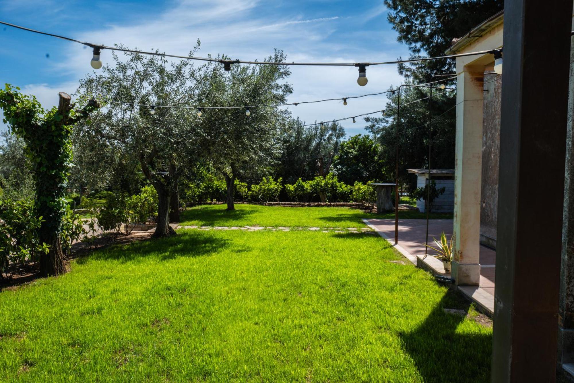 Signor Cesare Agrobistrot B&B San Giovanni Rotondo Bagian luar foto