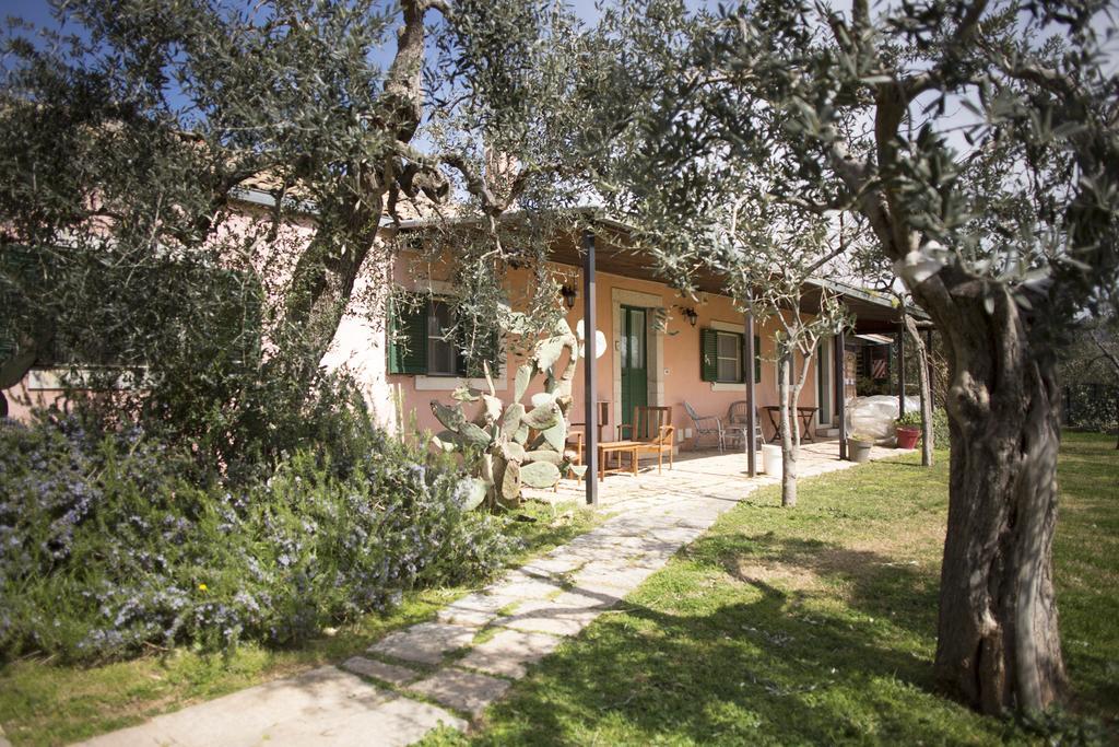 Signor Cesare Agrobistrot B&B San Giovanni Rotondo Bagian luar foto