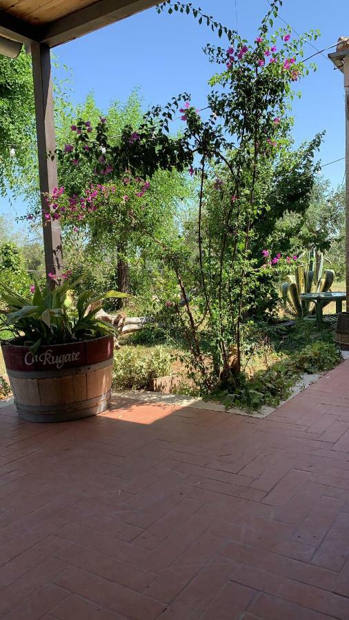 Signor Cesare Agrobistrot B&B San Giovanni Rotondo Bagian luar foto
